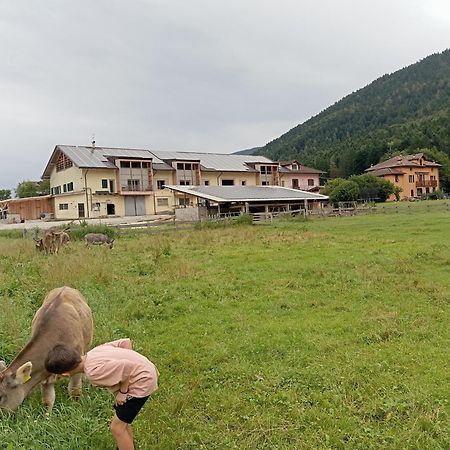 Fiavè Maso Torbiera- Rural And Mountain Lodging מראה חיצוני תמונה