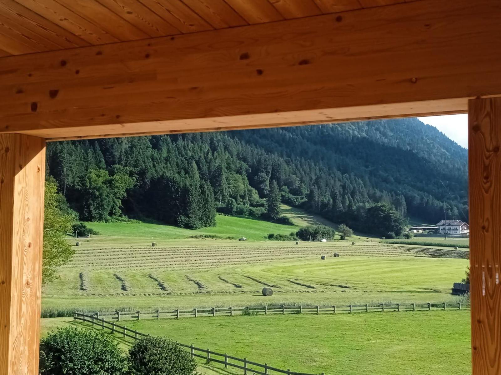 Fiavè Maso Torbiera- Rural And Mountain Lodging מראה חיצוני תמונה