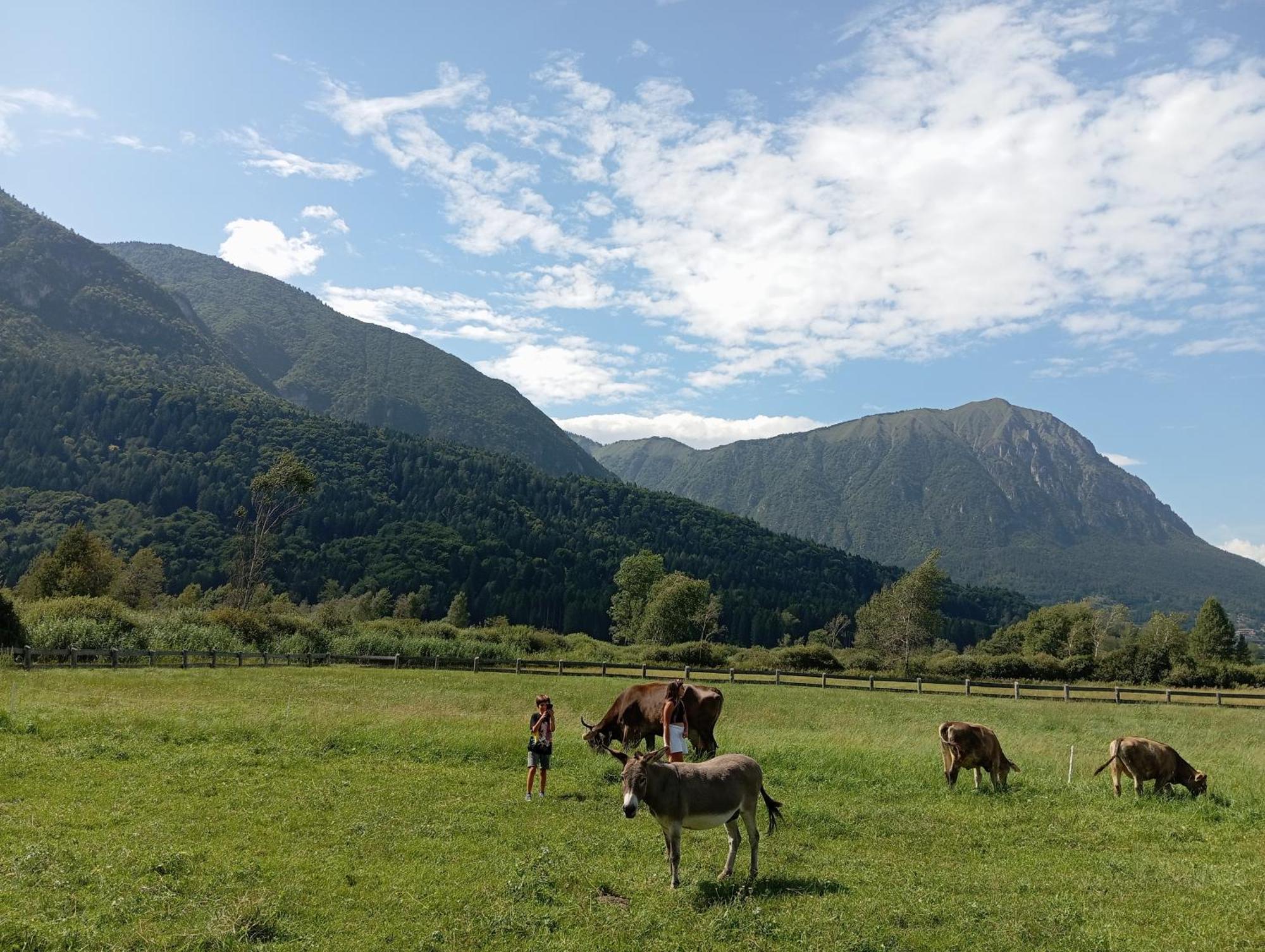 Fiavè Maso Torbiera- Rural And Mountain Lodging מראה חיצוני תמונה